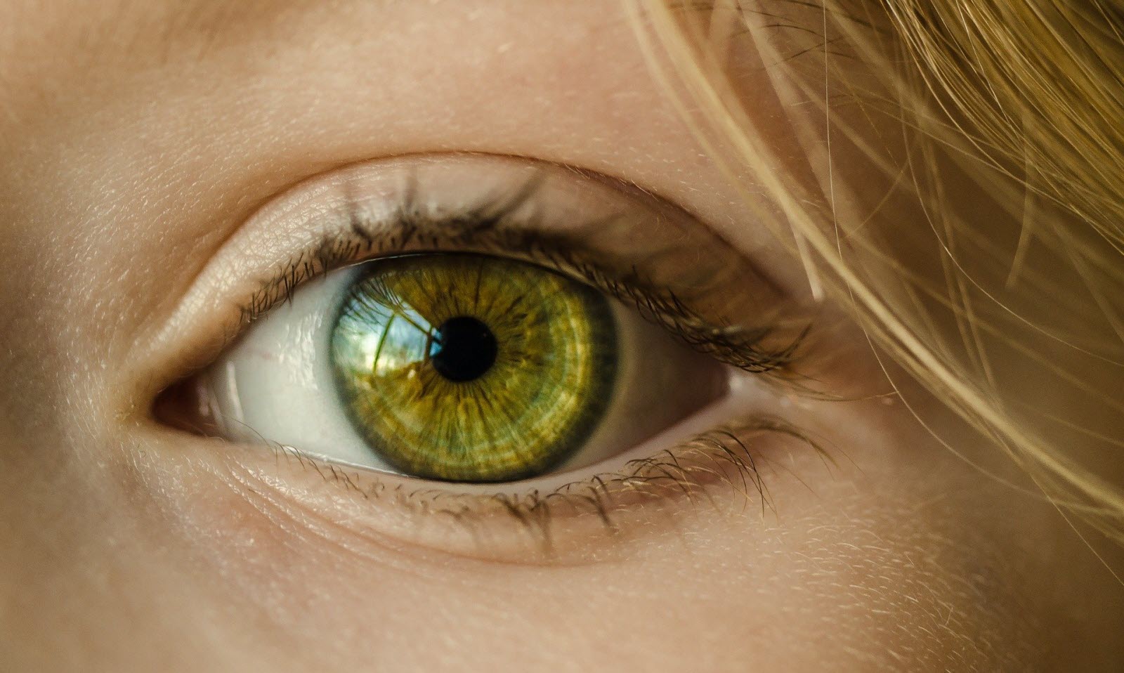 Examen du fond d'oeil