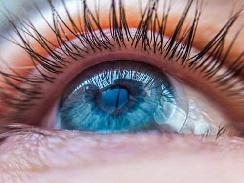 Adaptation lentilles de contact