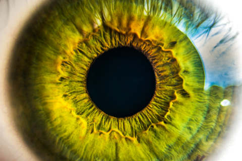 Examen du nerf optique et dépistage du glaucome à Argenteuil